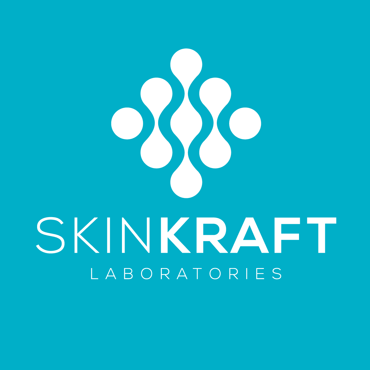Skinkraft